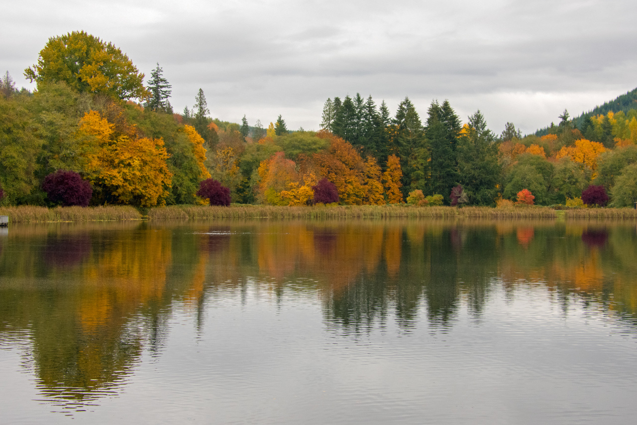 A Rainy Autumn Day at Vernonia Lake
