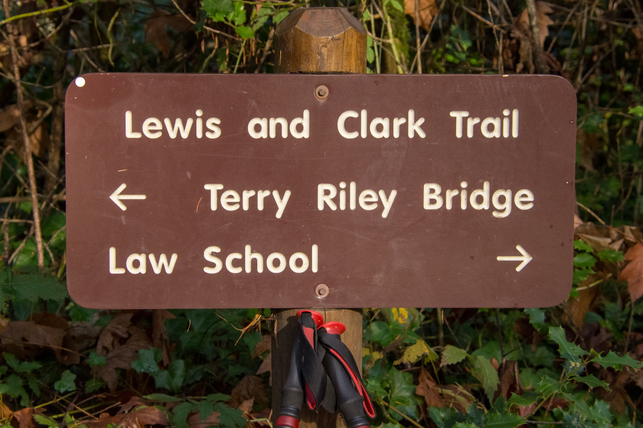 Law School or Terry Riley Bridge?