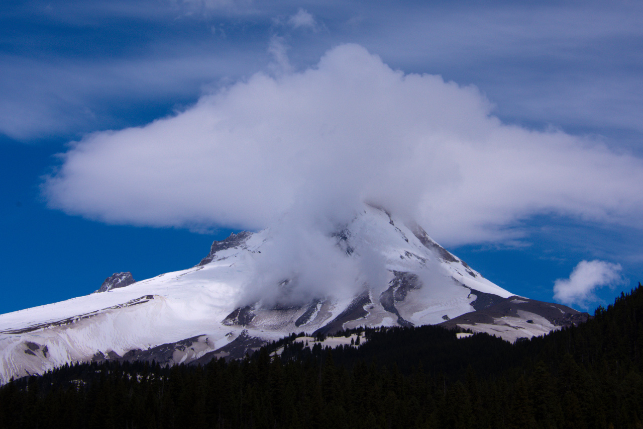 From Majestic Mt. Hood to Turkey Vultures