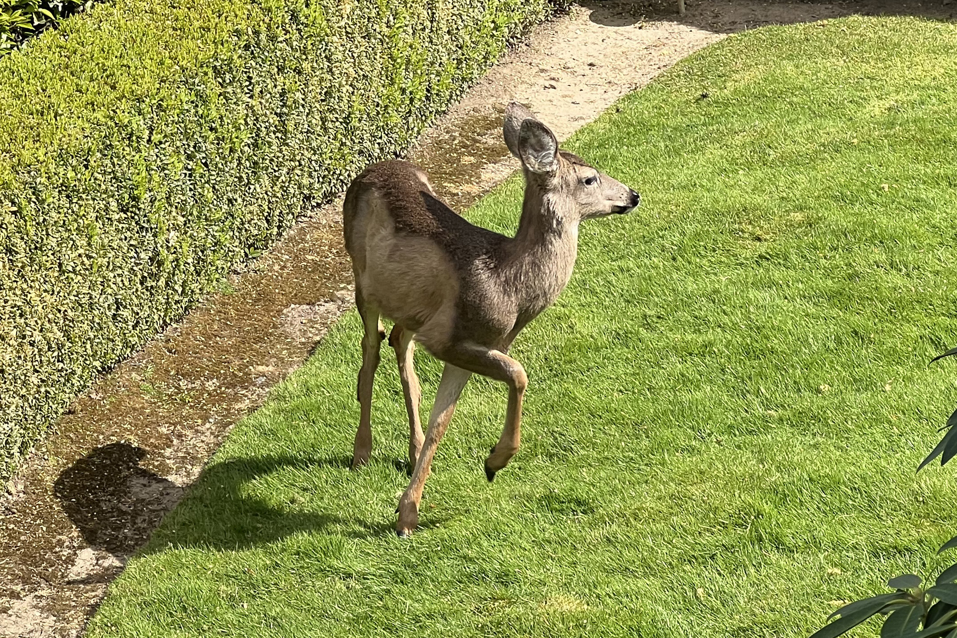 Springtime in Northwest Oregon