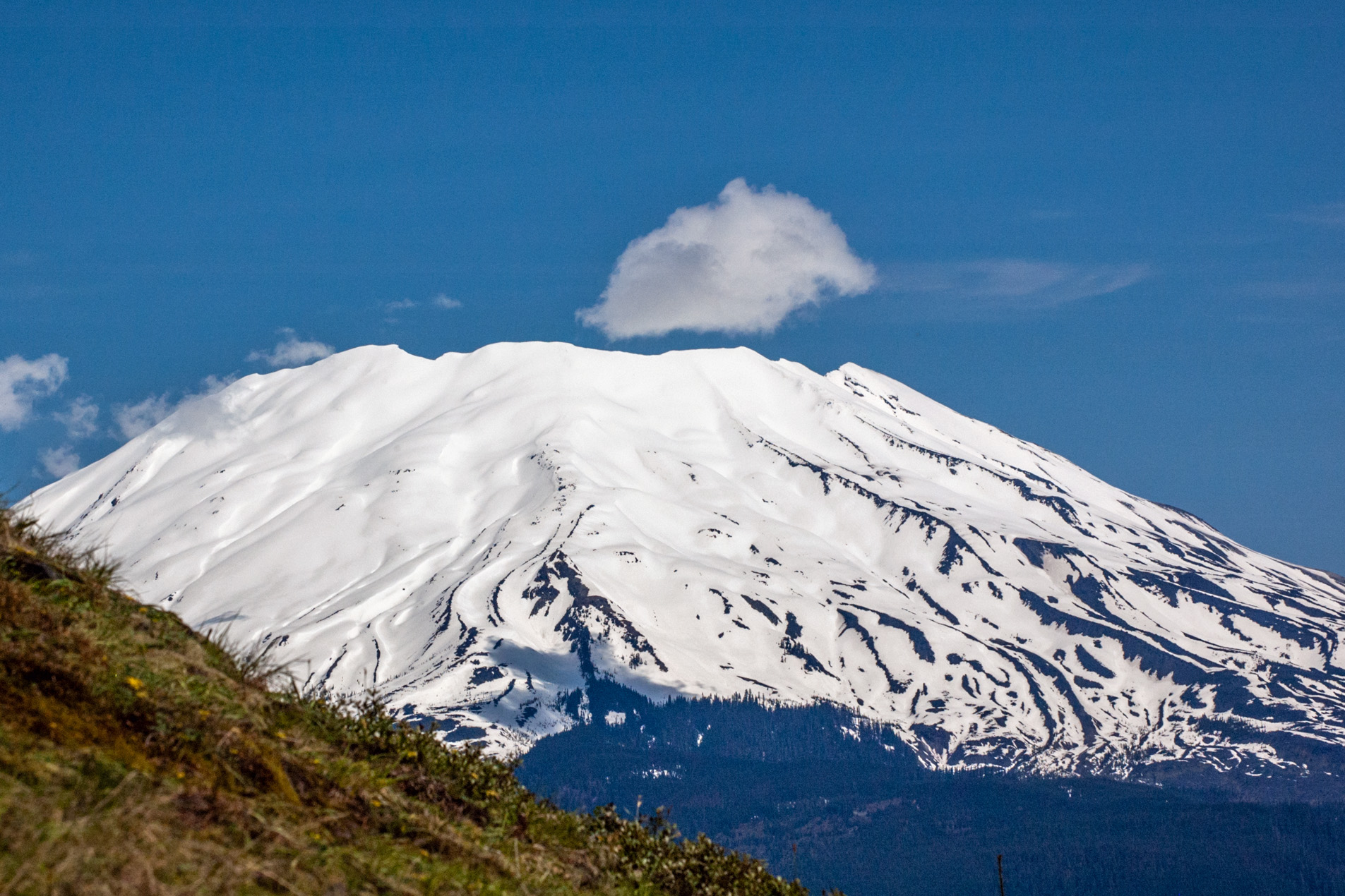 A Snow-covered Mt. St. Helens from the Best Seat Around