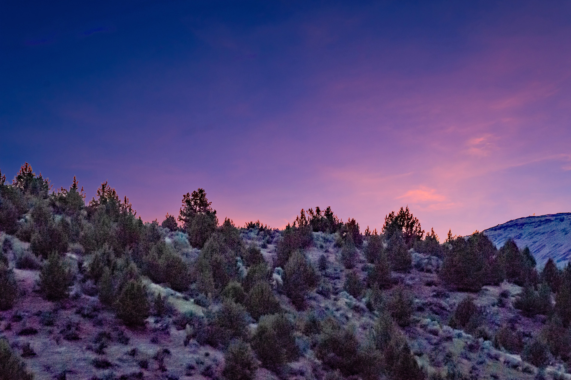 John Day Country Part I – A Great B&B