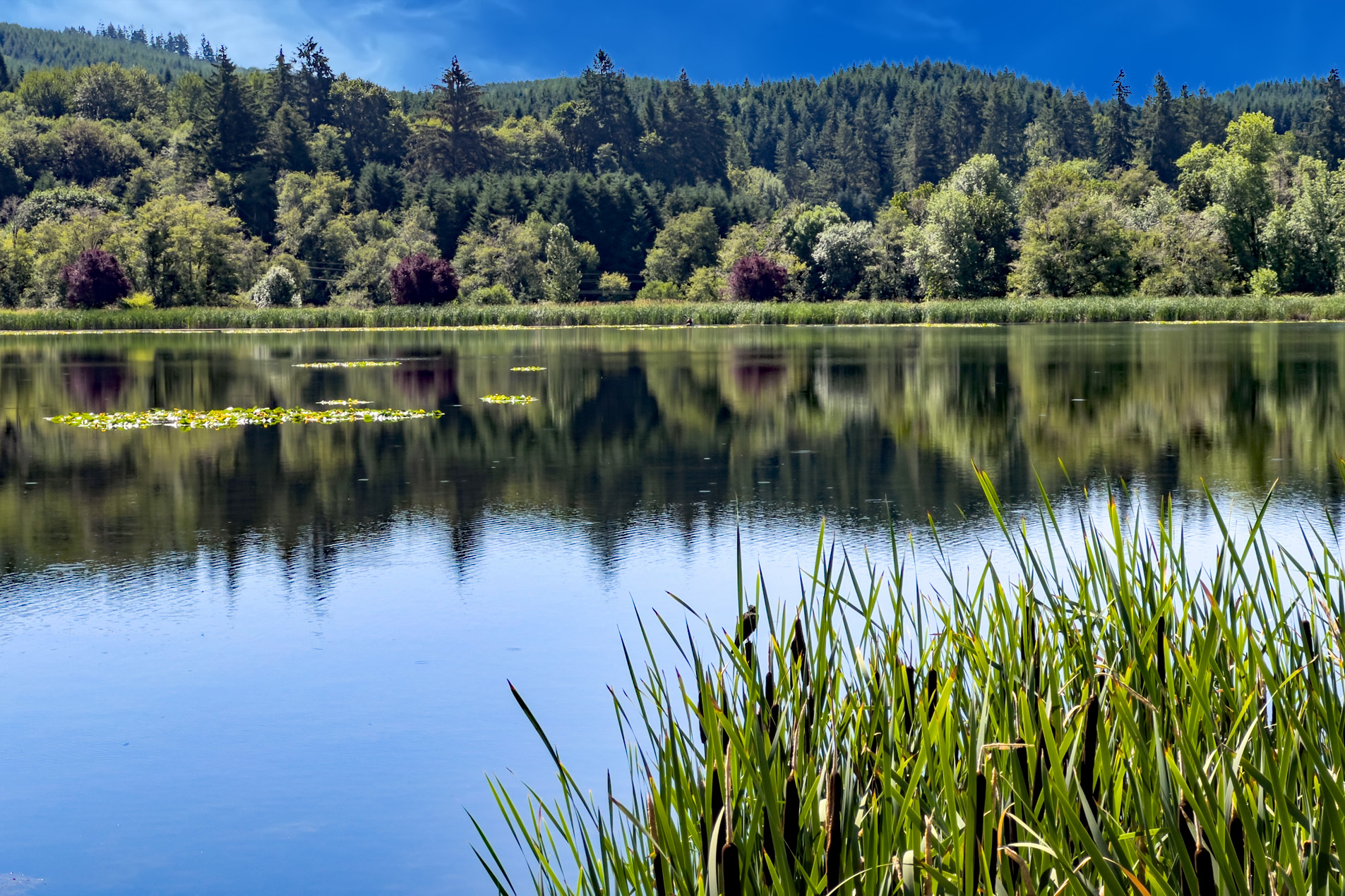 Scenes from Northwest Oregon