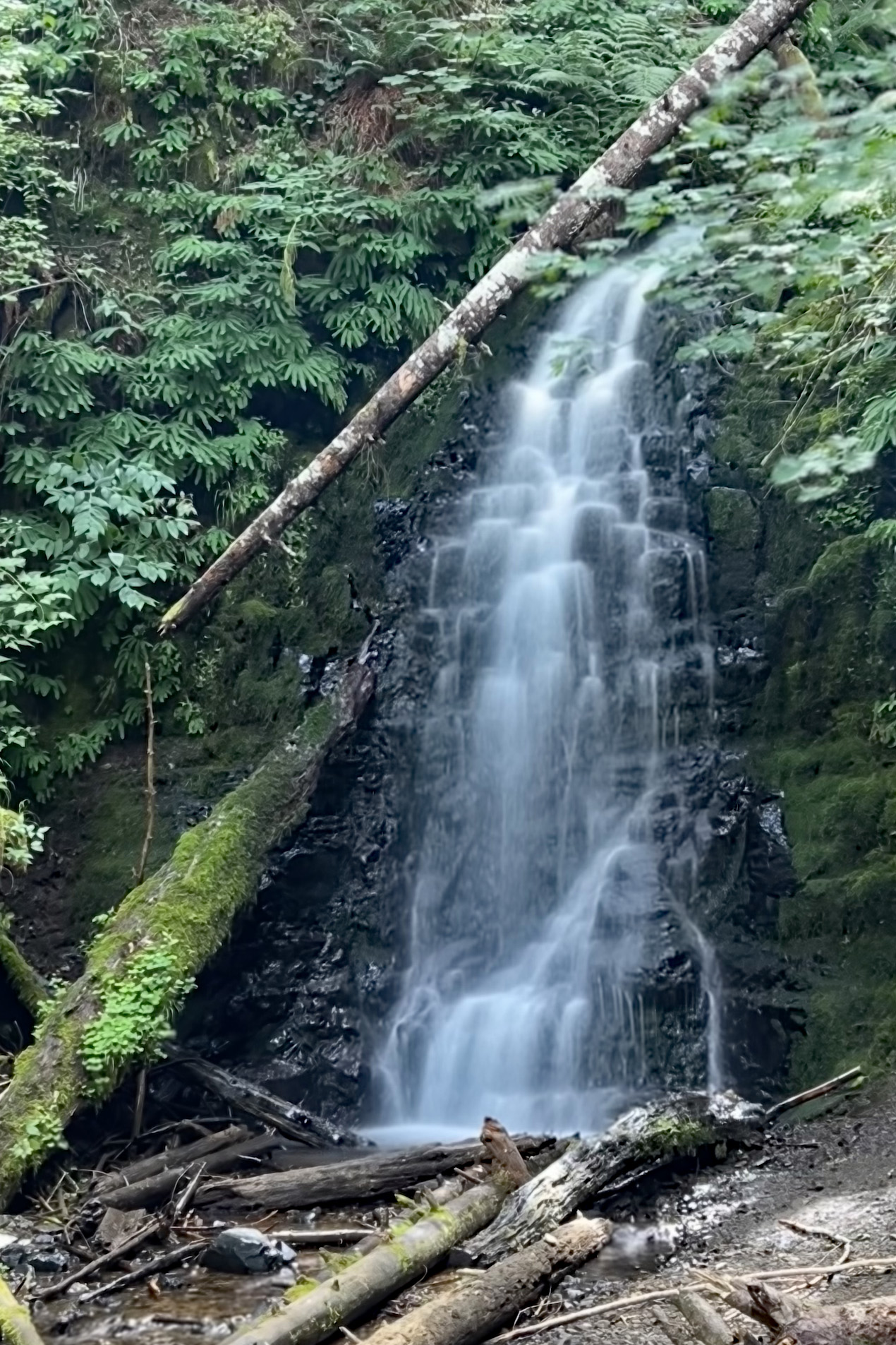 West Hills at their Summertime Best and a Delicate Waterfall