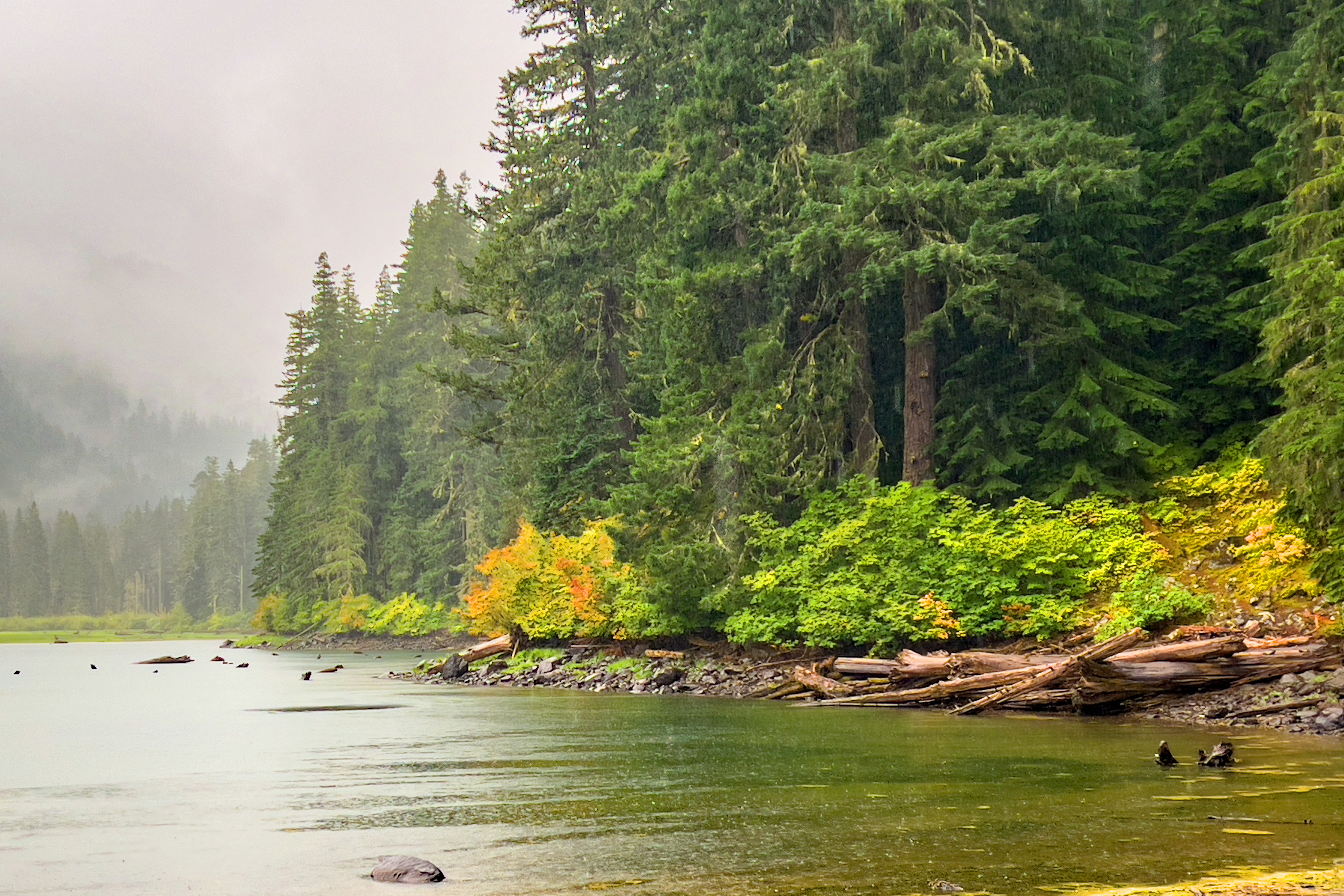 Sometimes You Win and Sometimes You Lose