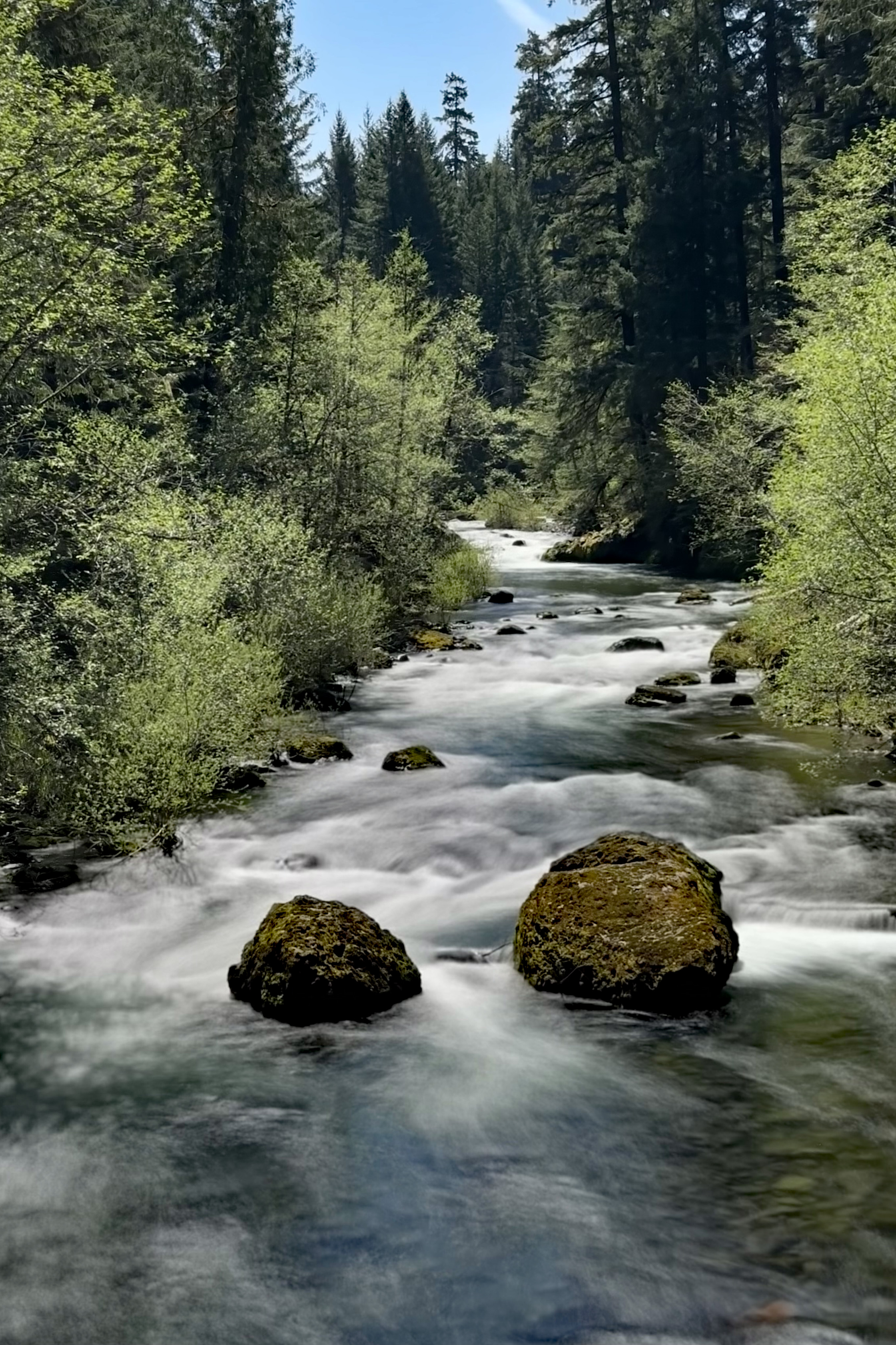 Reminiscing about a once great Summer Steelhead River