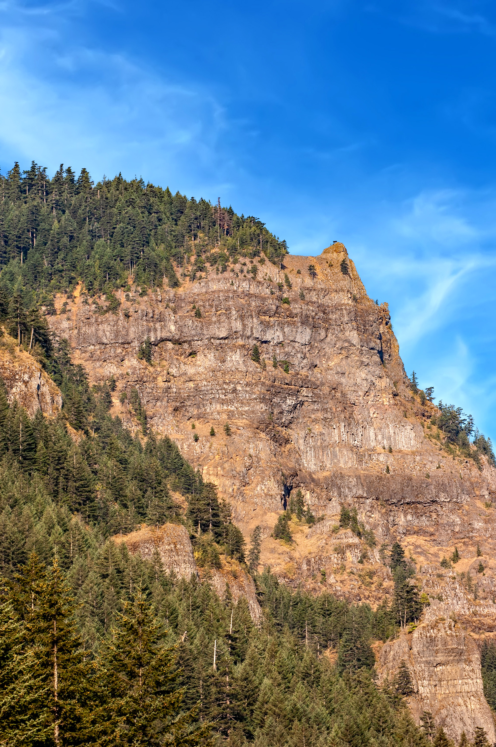Green Point Mountain Summit Hike: A True Columbia River Gorge Challenge