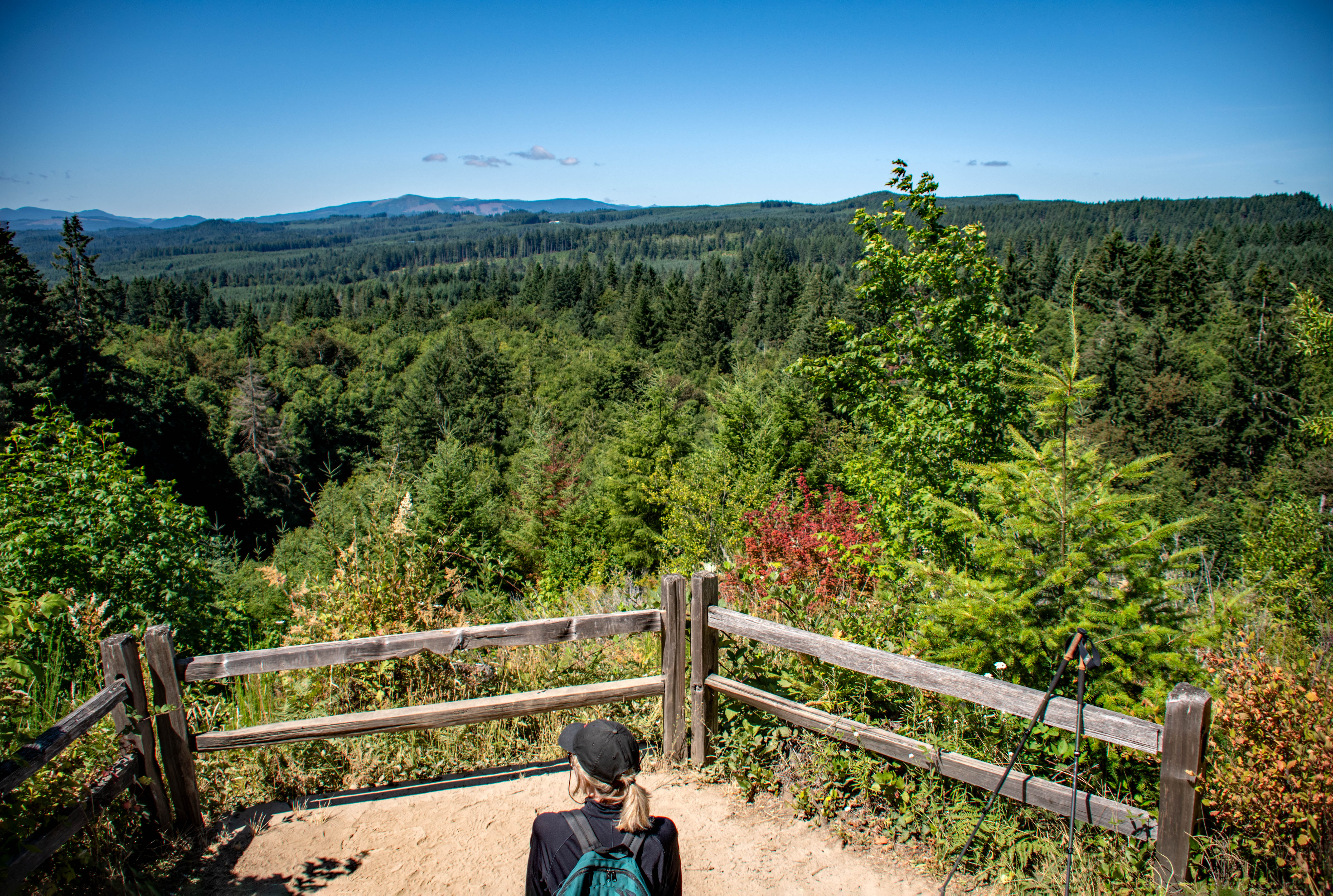 A Rainforest Hike to Skycar Viewpoint