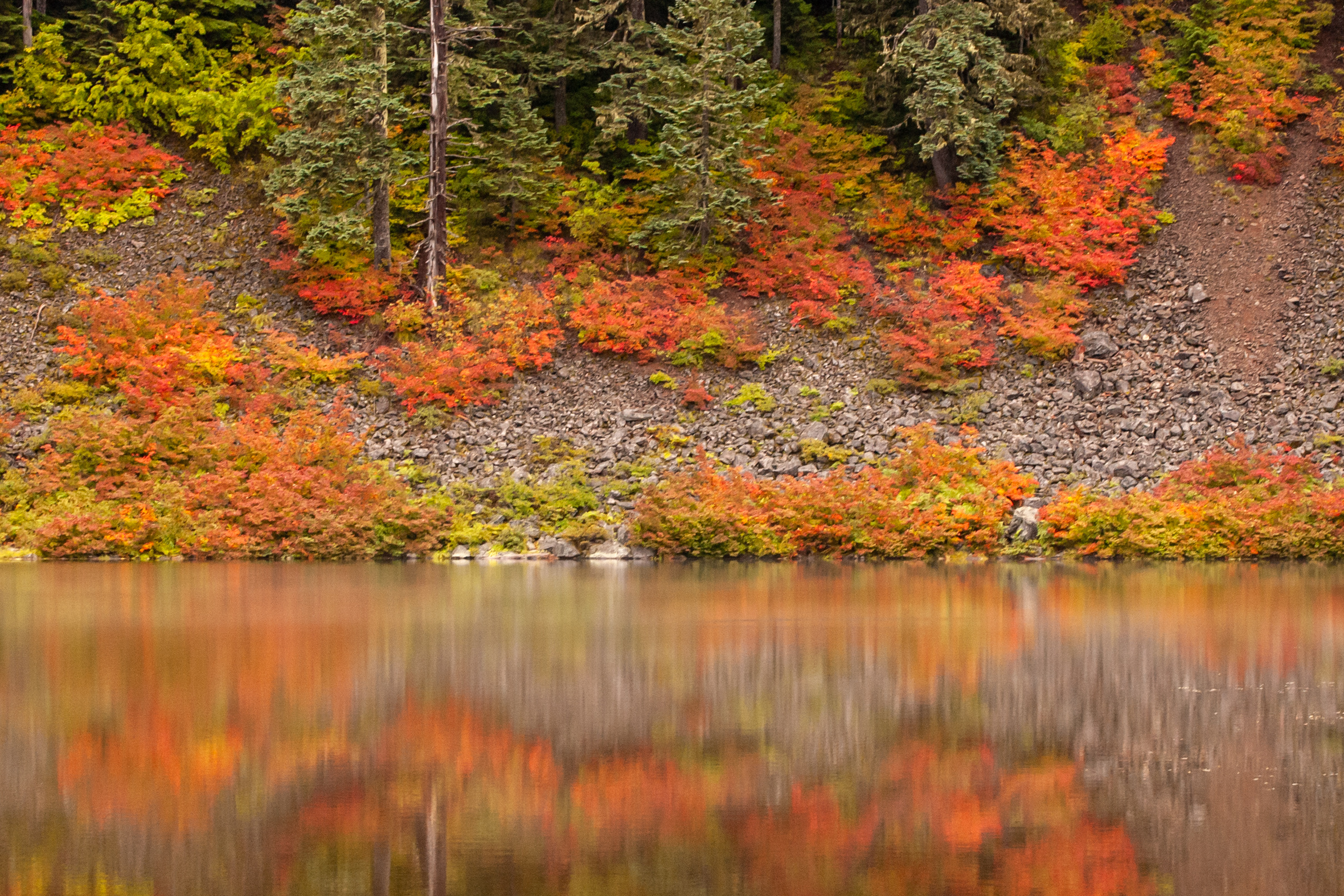 A Wilderness Hike to South Fork Mountain