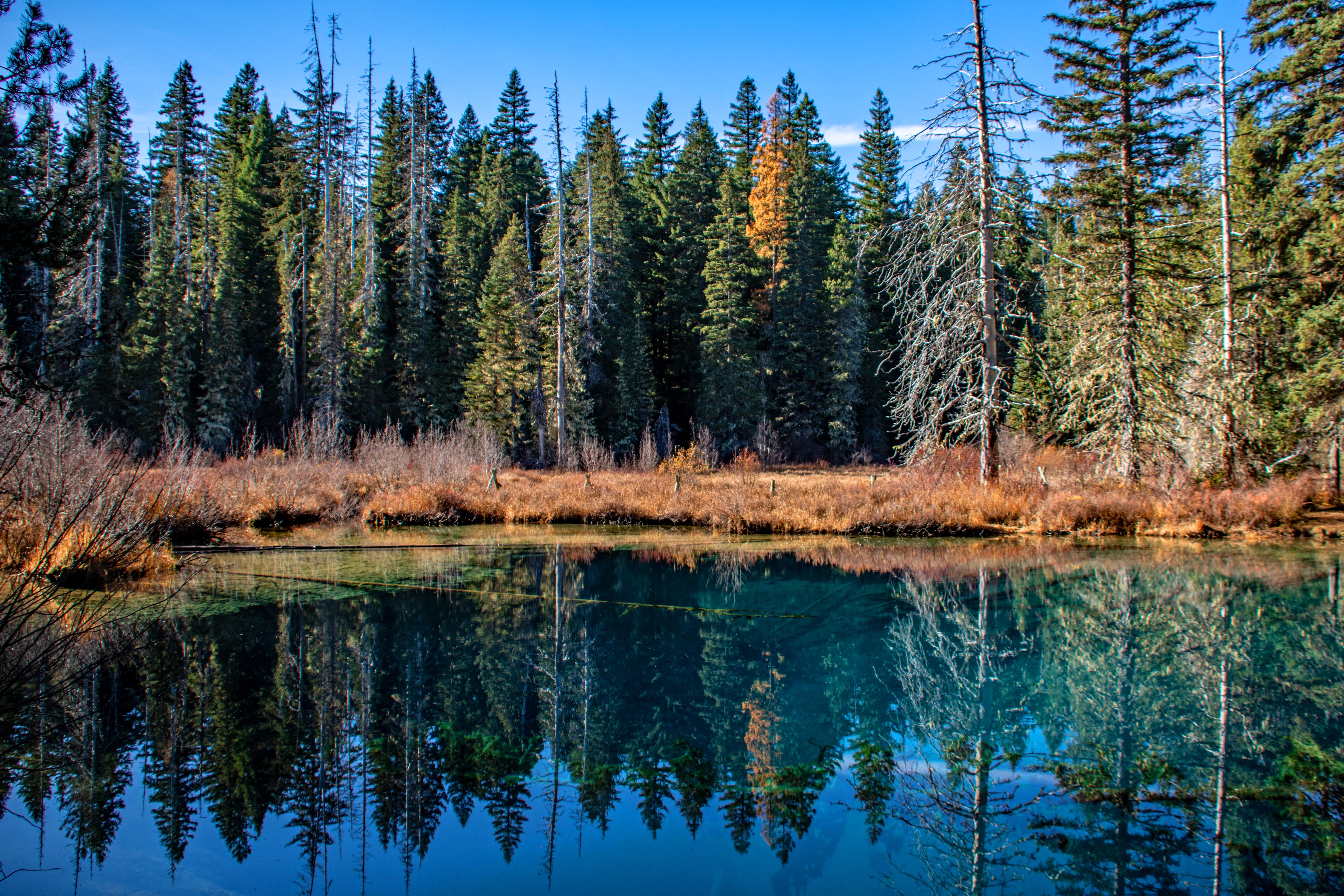 Crystal Clear: Little Crater Lake