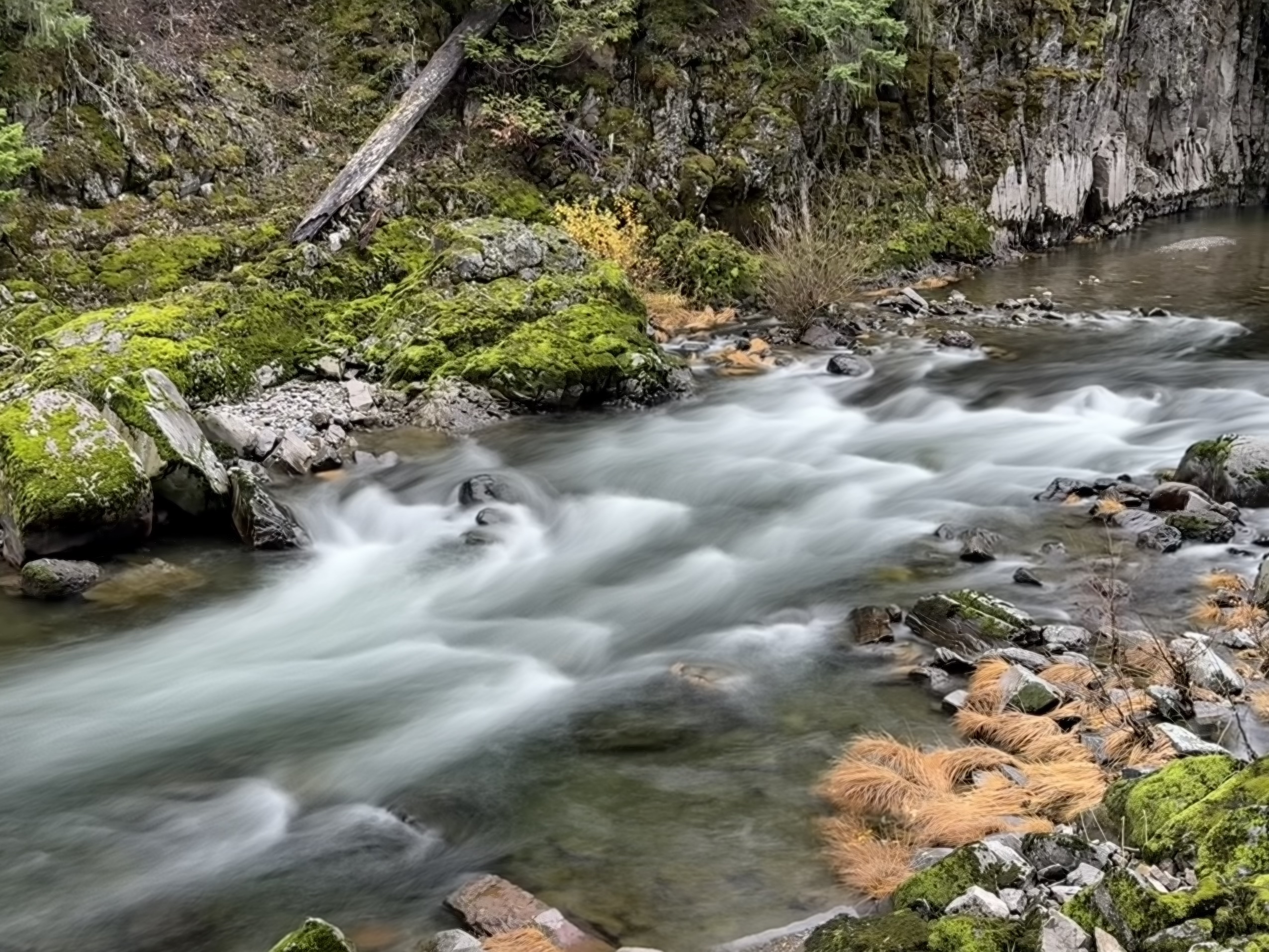 Late Autumn in Northwest Oregon