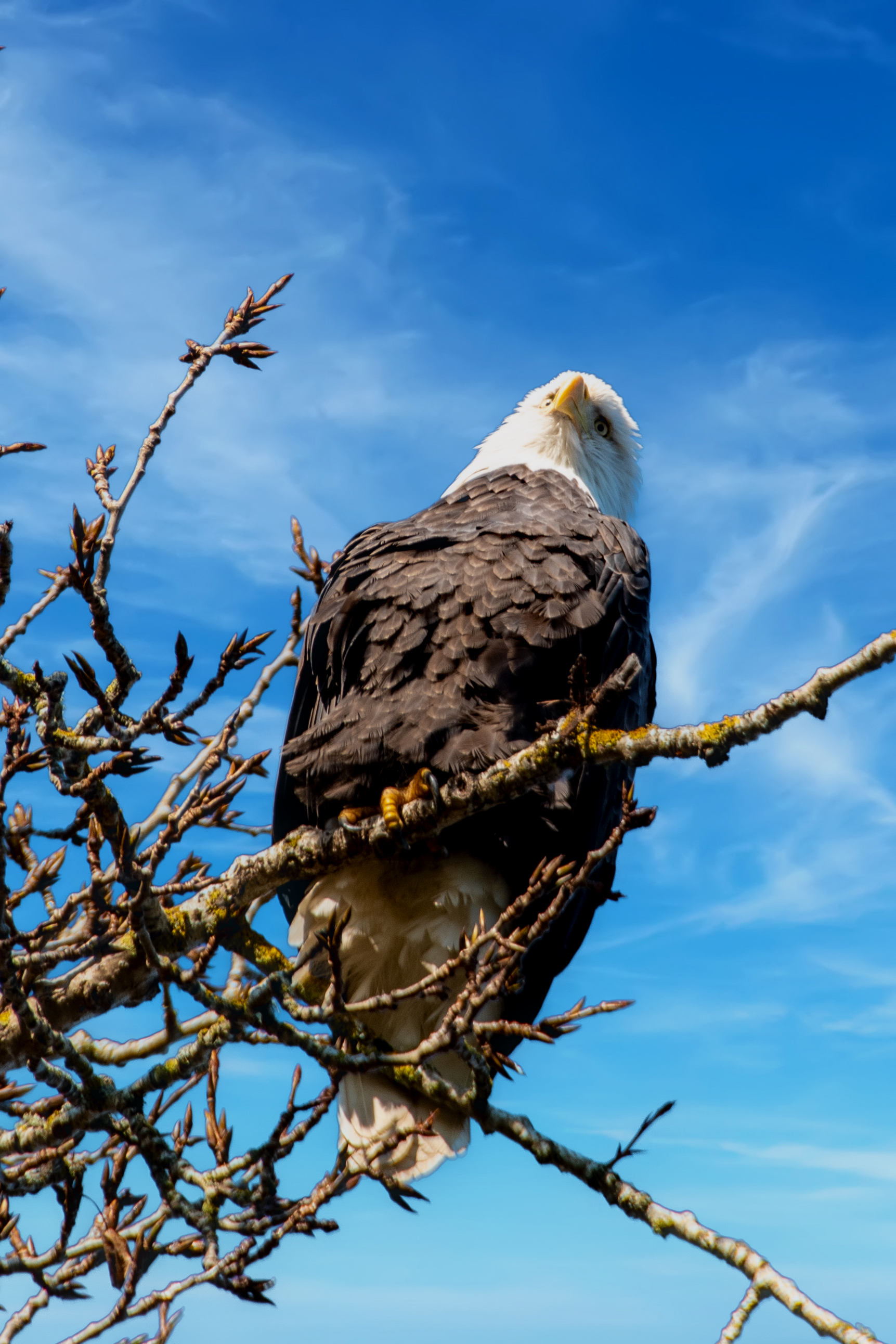 Merry Christmas to All