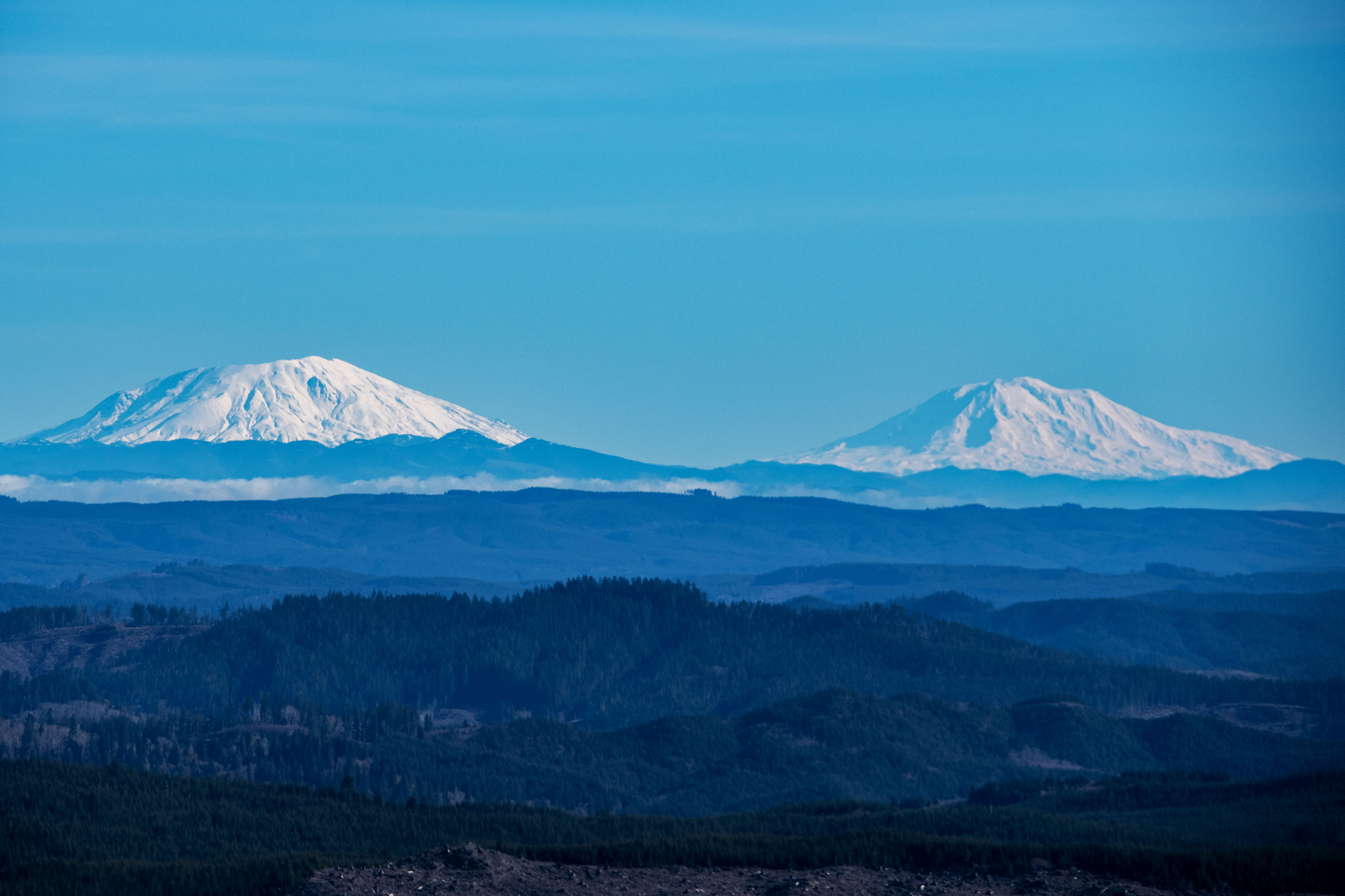 Early Springtime on Humbug Mountain
