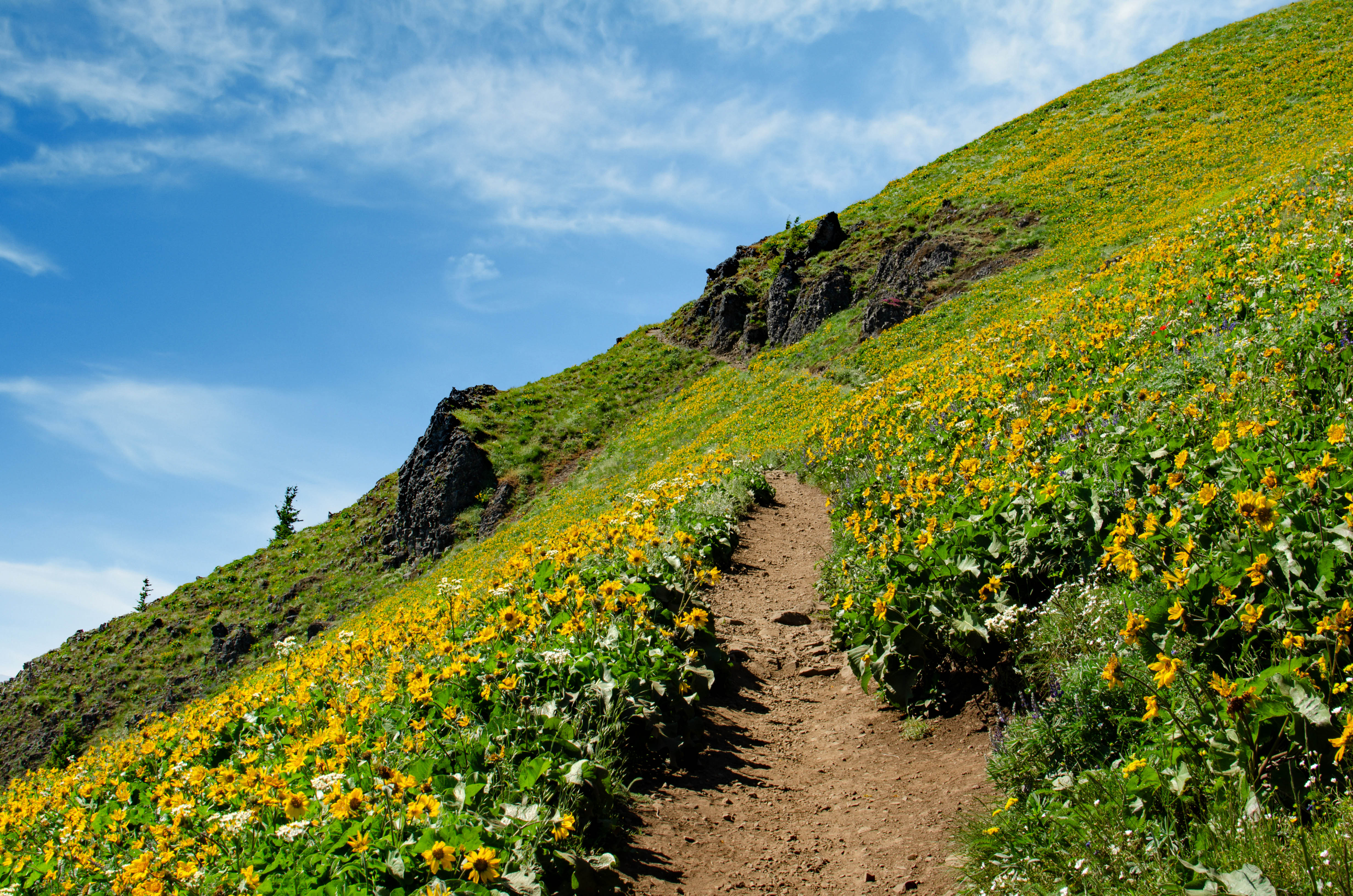Augsperger and Dog Mountain Summits: Two for the Price of One