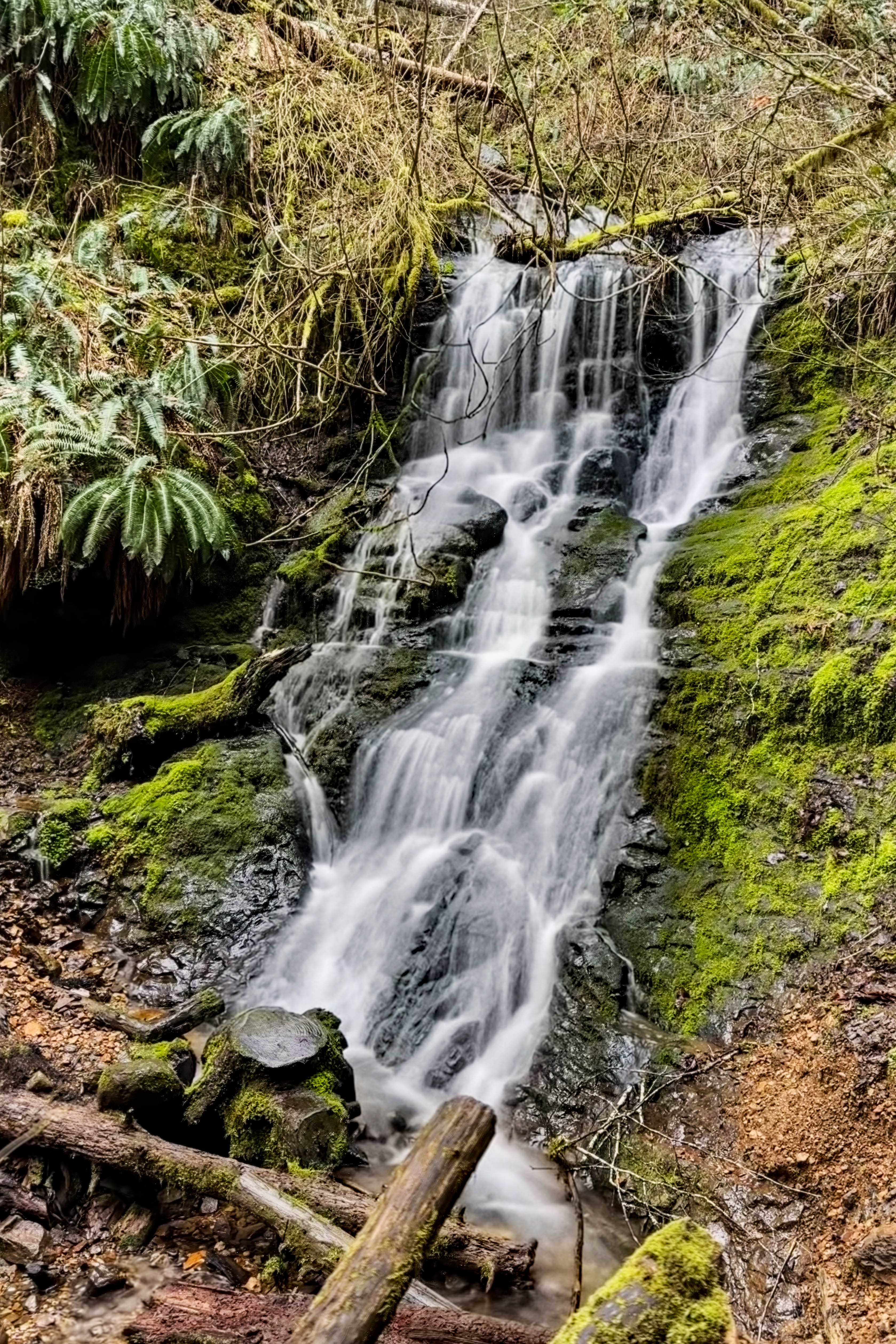 A Storey Burn on an Early Spring Day