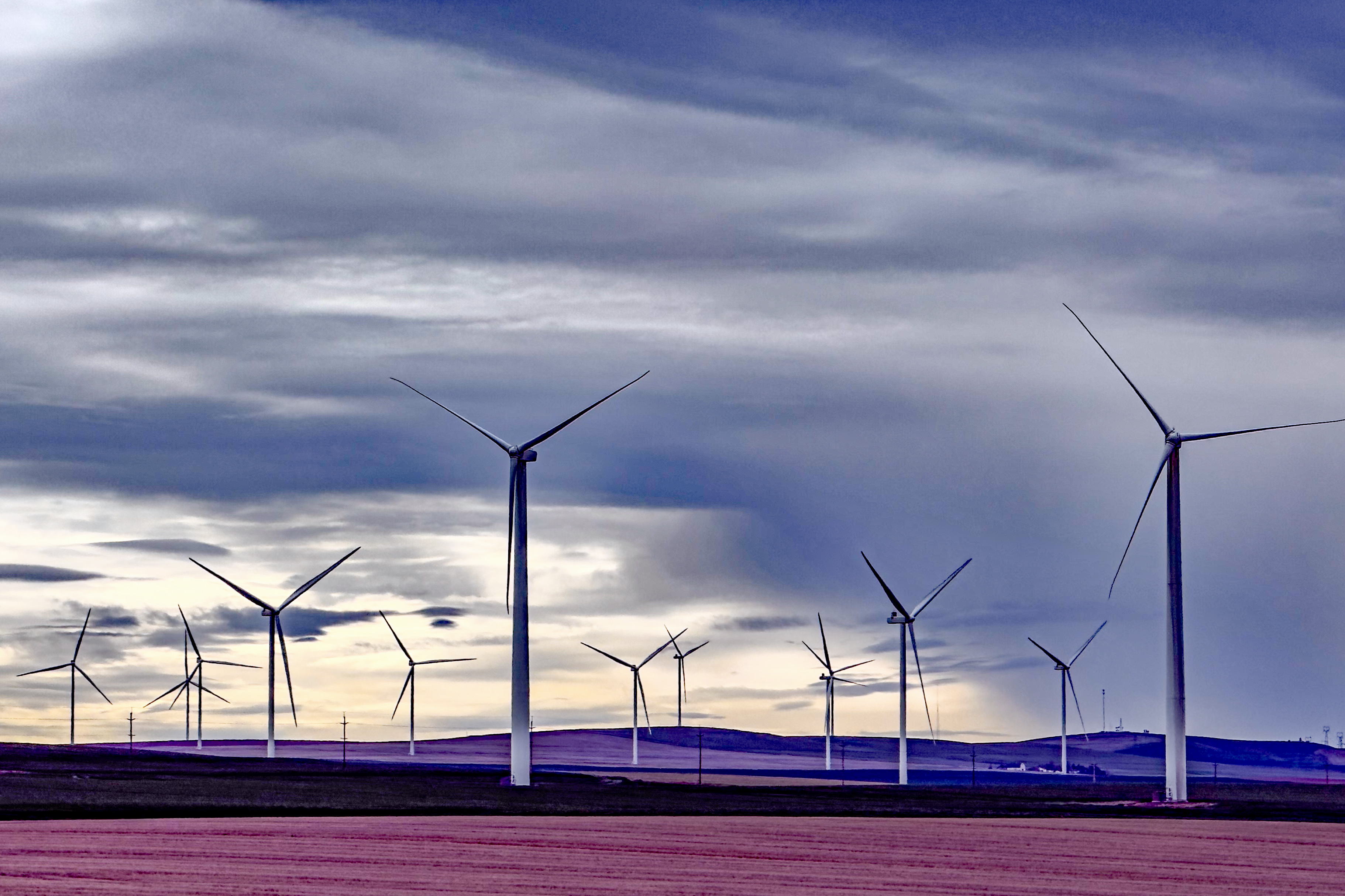 Spring Hiking on the Hard Stone Trail in Cottonwood Canyon