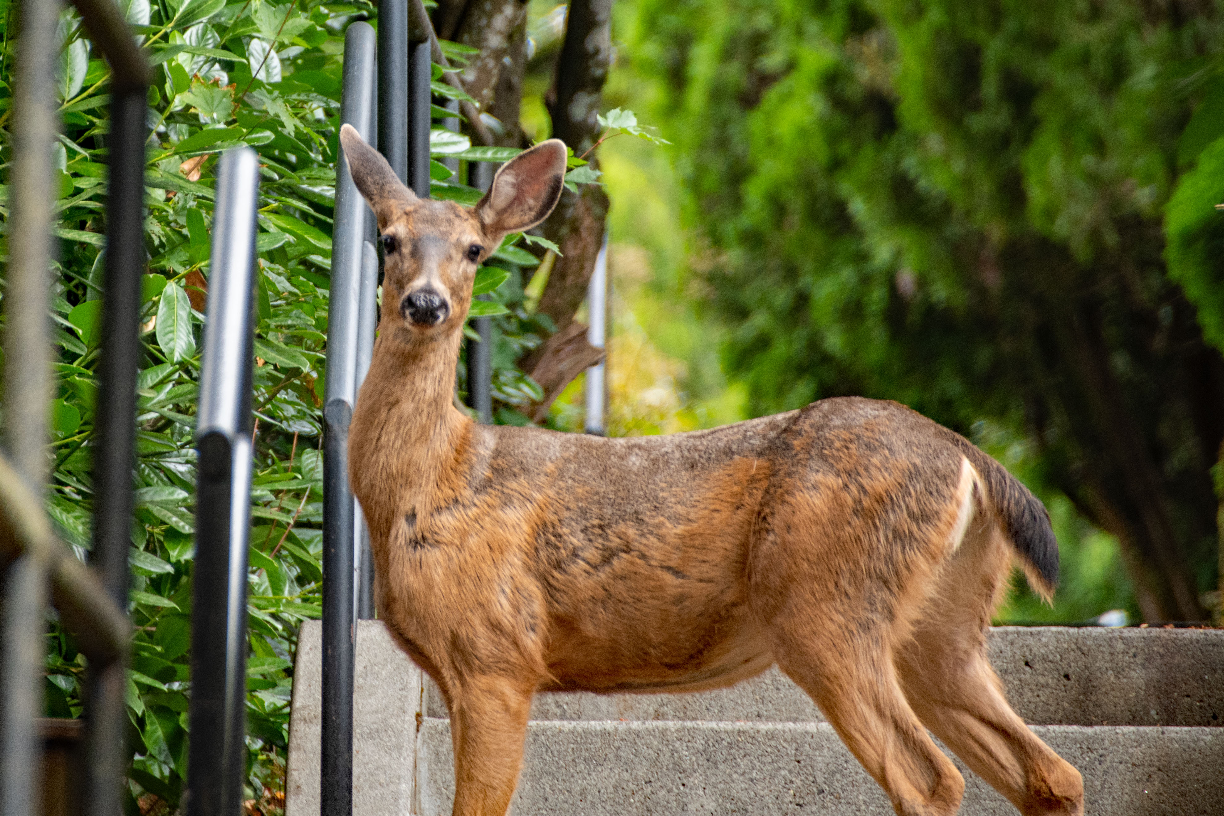 Late September in West Portland
