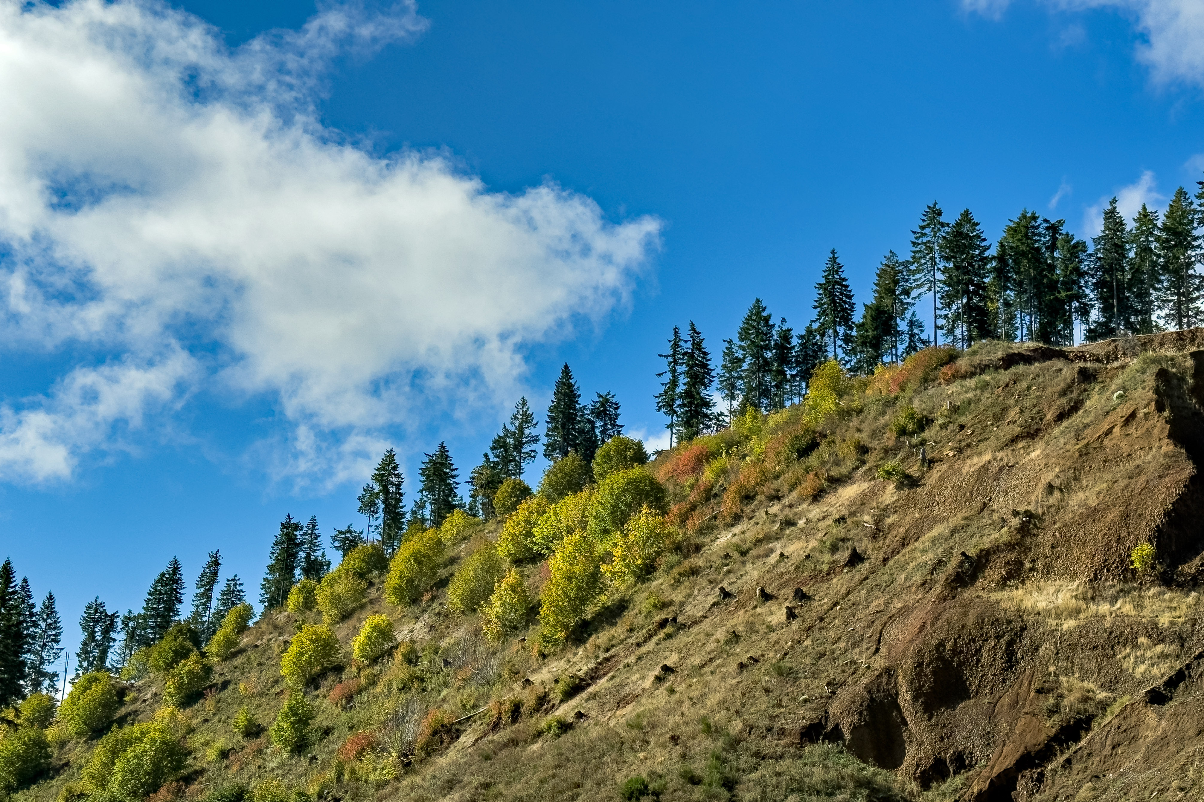 An Autumn Hike up Wildcat Mountain